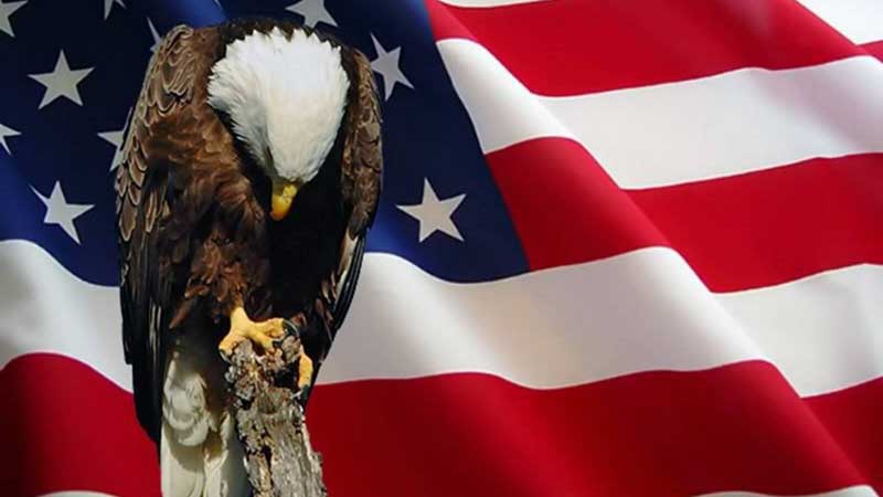 Observing Memorial Day