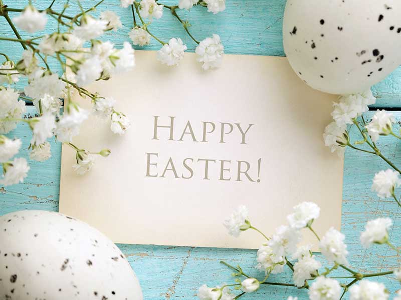 easter greetings and sweets guide from los angeles dentist